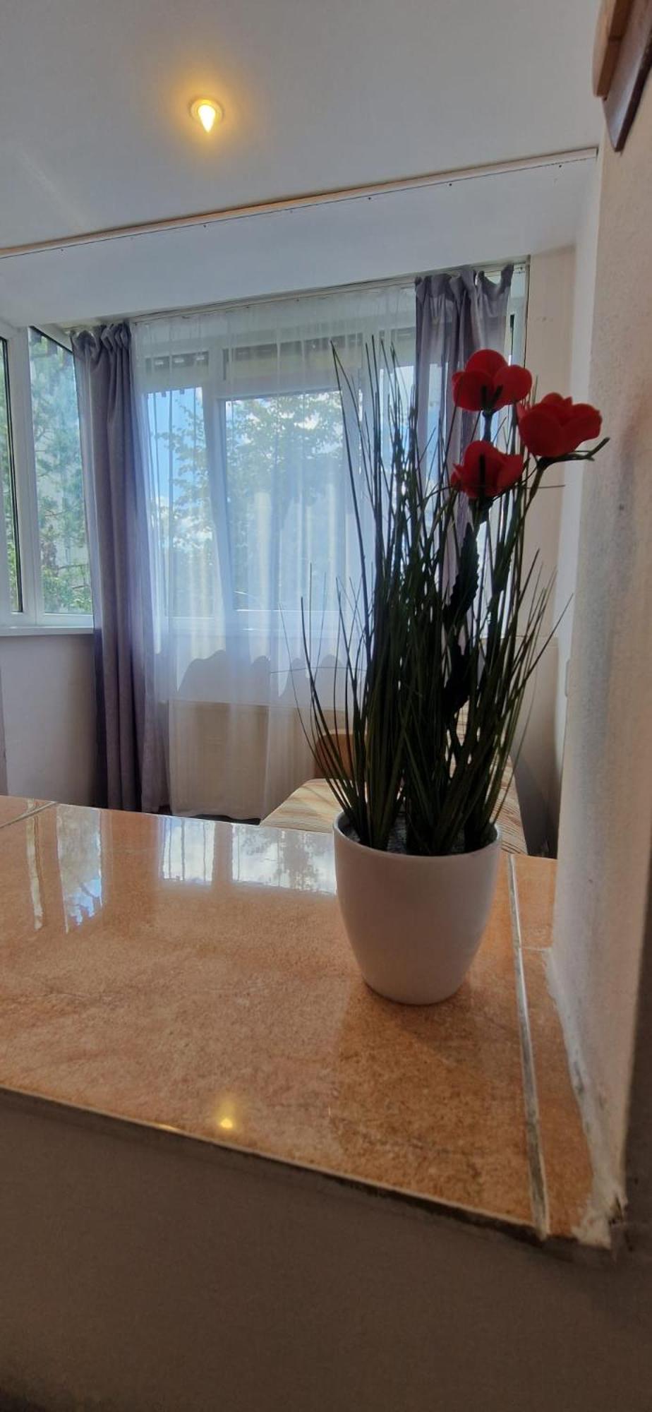Stephanie Apartment-Centru Civic براشوف المظهر الخارجي الصورة